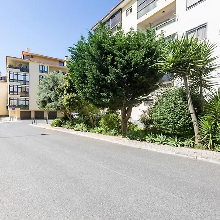 Spacious Modern In Costa Da Guia Апартаменты